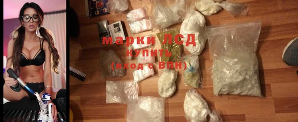 индика Белокуриха