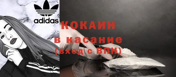 индика Белокуриха