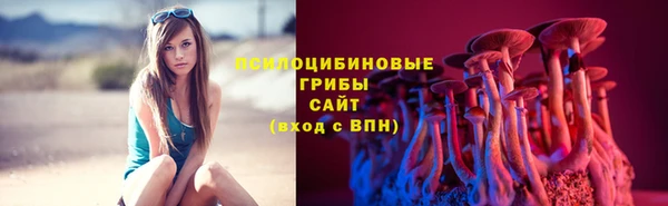 индика Белокуриха