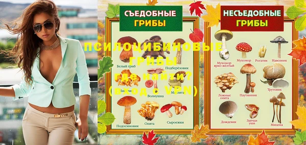 индика Белокуриха