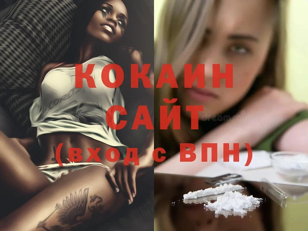 индика Белокуриха