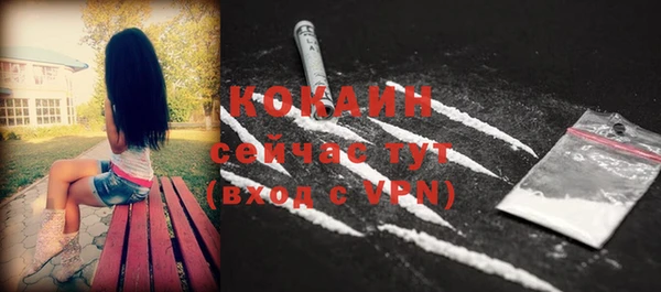 индика Белокуриха
