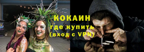 индика Белокуриха