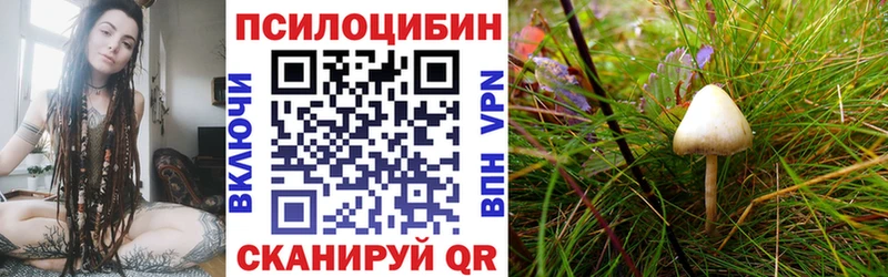 Псилоцибиновые грибы ЛСД  наркотики  Колпашево 